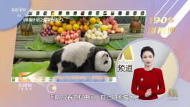我的坏妈妈
